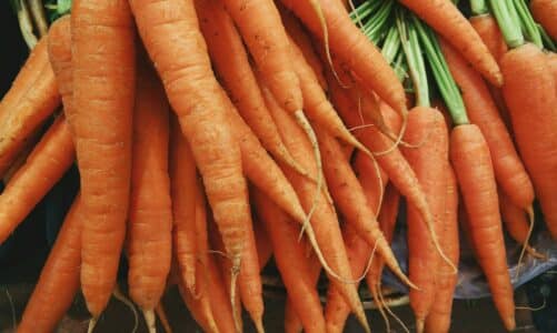 Comment conserver des carottes ?